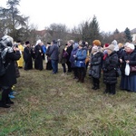 Множество паломников со всей Венгрии прибыли на чин основания православного храма в Хевизе